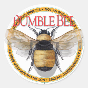 Bumble Bee Sticker
