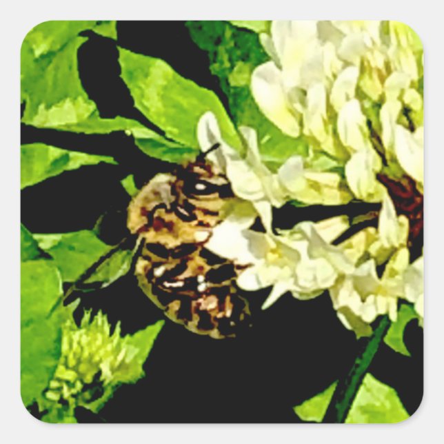 Bumble Bee Stickers (Devant)