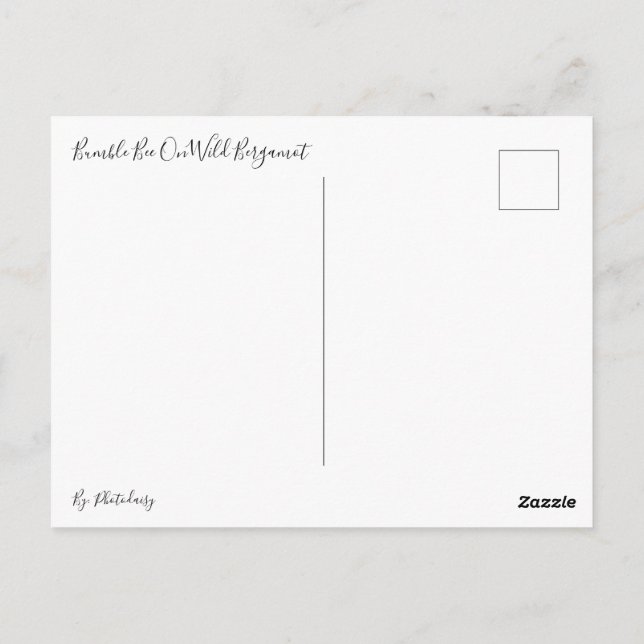 Bumble Bee Sur La Carte Postale Wild Bergamot (Dos)