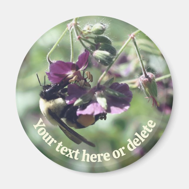 Bumble Bee With Pollen Flower Nature Personalized Magnet (Vorne)