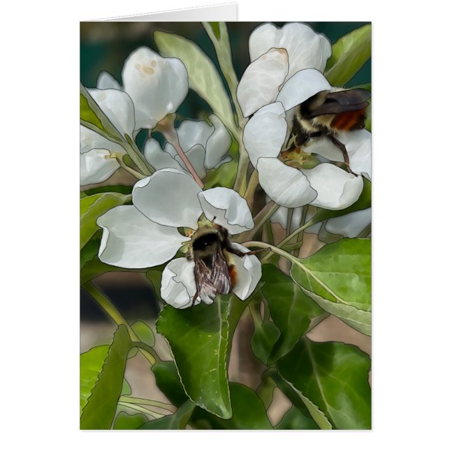 Bumble Bees & Blossoms - Carte d'art 5 po x 7 po (Devant)