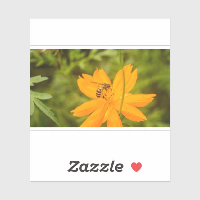 Bumblebee on a Sulfur Cosmos Aufkleber (Blatt)