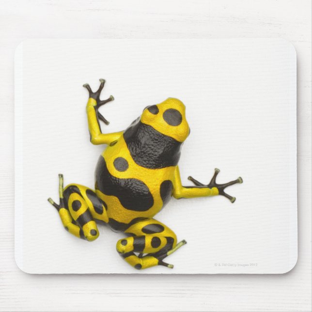 Bumblebepoison Dart Frog Mousepad (Vorne)