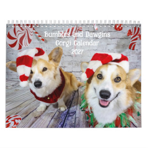 Bumbles und Dawgins Corgi-Kalender 2027 Kalender