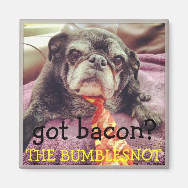 Bumblesnot aimant : a du bacon ? (Devant)