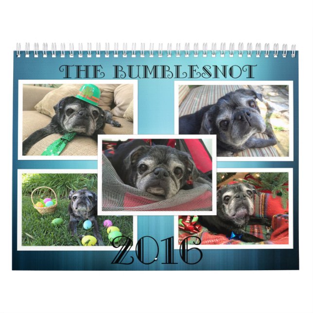 Bumblesnot Kalender 2016 (Titelbild)