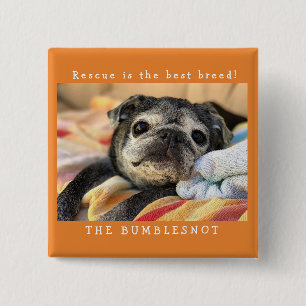 Bumblesnot Knopf: Rettung ist die beste Zucht! Button