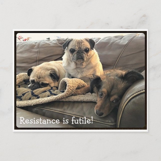 Bumblesnot : La résistance est Futile carte postal (Devant)
