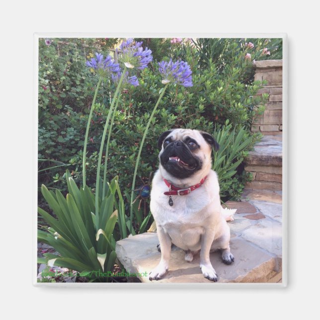 Bumblesnot-Magnet: Das Kind im Freien Magnet (Vorne)