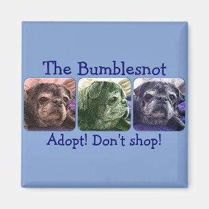 Bumblesnot Magnet:  Färben Sie mich Hummel Magnet
