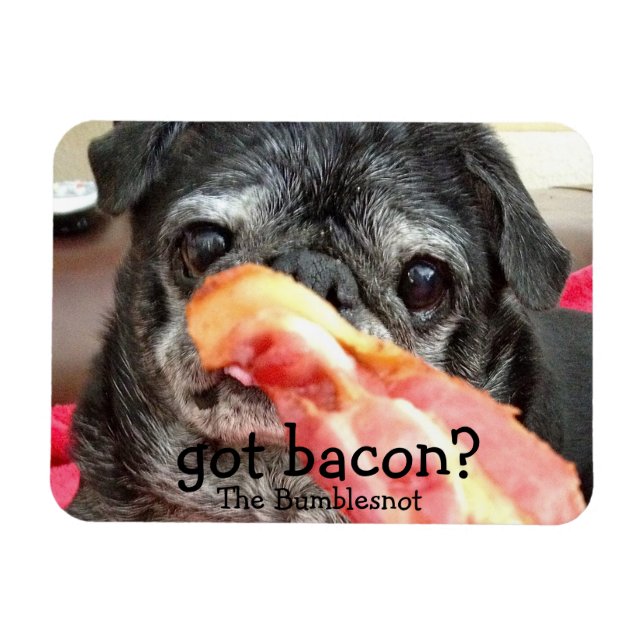 Bumblesnot Magnet: got Speck? Magnet (Horizontal)