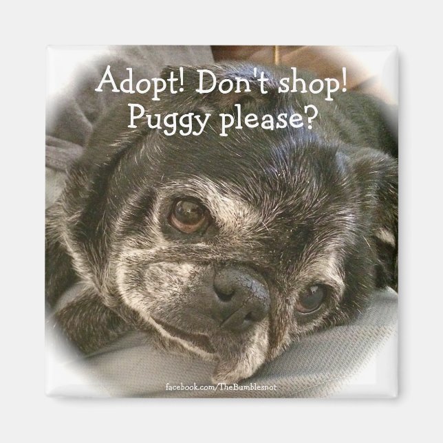 Bumblesnot Magnet: Puggy Bitte? Magnet (Vorne)