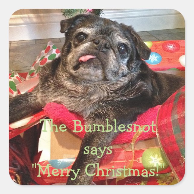Bumblesnot Weihnachtsaufkleber Quadratischer Aufkleber (Vorderseite)
