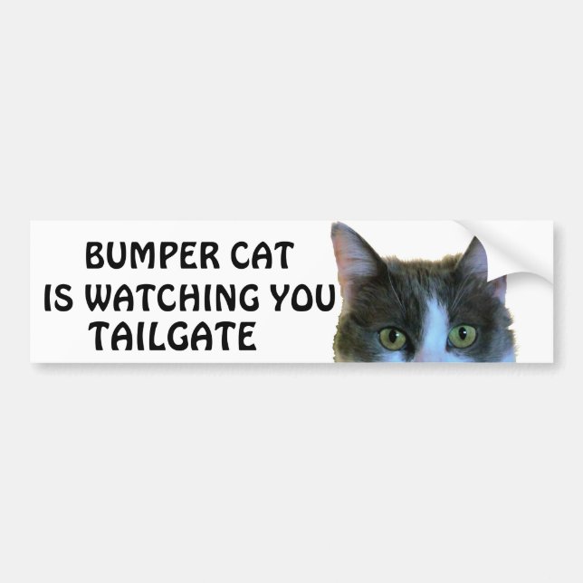 Bumper Cat beobachtet Meme TAILGATE 28 Autoaufkleber (Vorne)