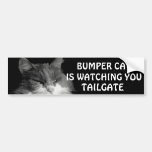 Bumper Cat beobachtet TAILGATE 36 Meme Autoaufkleber