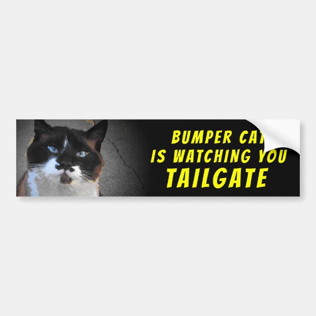 Bumper Cat beobachtet TAILGATE 46 Autoaufkleber (Vorne)