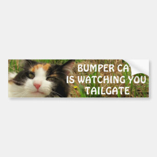 Bumper Cat beobachtet TAILGATE 8 Autoaufkleber