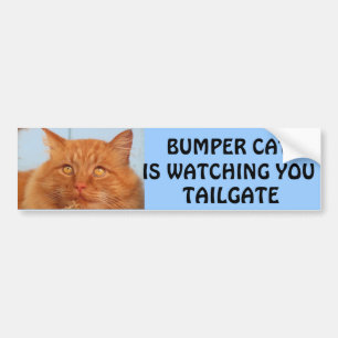 Bumper Cat beobachtet You TAILGATE 14 Autoaufkleber