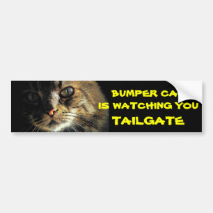 Bumper Cat schaut TAILGATE 23 Autoaufkleber