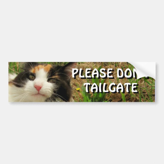 Bumper Cat Will Ihnen, Meme zu deaktivieren Autoaufkleber (Vorne)