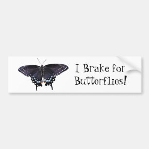 Bumper Sticker I Frein pour papillons Swallowtail