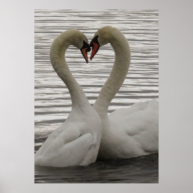 Bumping Heads Poster (Vorne)