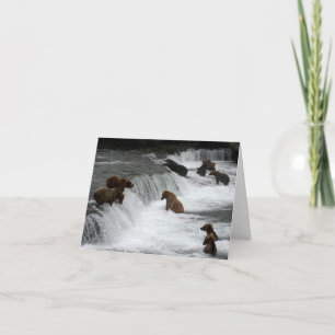 Bunch Ol Bears bei Wasserfällen Karte
