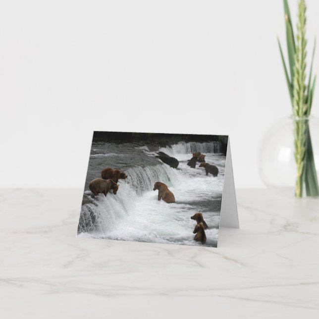 Bunch Ol Bears bei Wasserfällen Karte (Vorderseite)