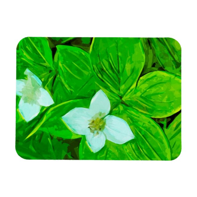 Bunchberry White Wildblume Abstrakt Magnet (Horizontal)