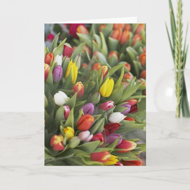 Bündel der bunten Tulpen Karte (Vorderseite)