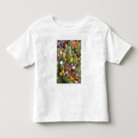 Bündel der bunten Tulpen