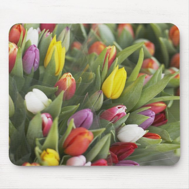 Bündel der bunten Tulpen Mousepad (Vorne)