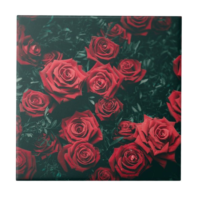 Bündel rote Rosen Fliese (Vorderseite)