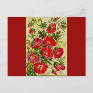 Bündel roter Blumen Postkarte