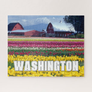 Bundesstaat Washington Tulpenfeld