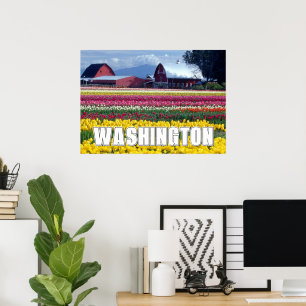 Bundesstaat Washington Tulpenfeld Poster