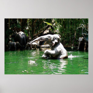 Bungle im Dschungel 36 x 24 Poster