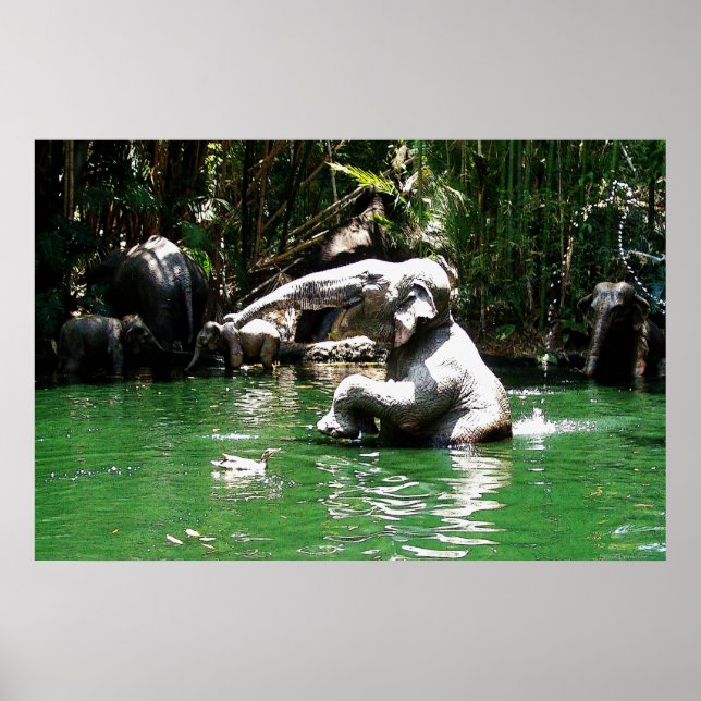 Bungle im Dschungel 36 x 24 Poster (Vorne)