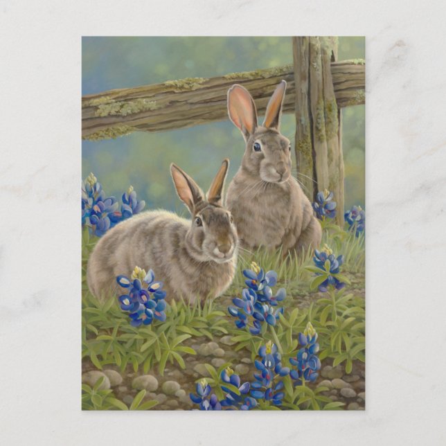 Bunnies & Bluebonnets Postkarte (Vorderseite)