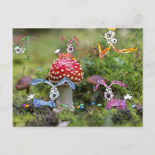 "BUNNIES FOU !" Carte postale (Devant)