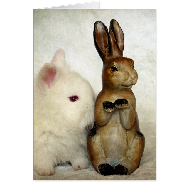 Bunnies Pâques (Devant)