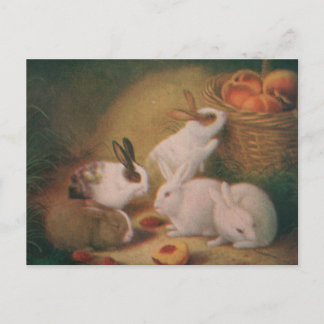 Bunnies Postkarte