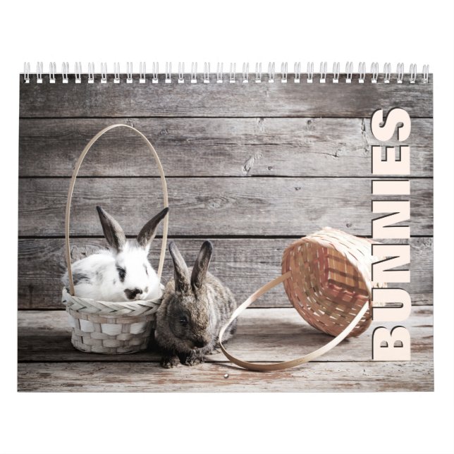 Bunnies Wall Calendar Kalender (Titelbild)