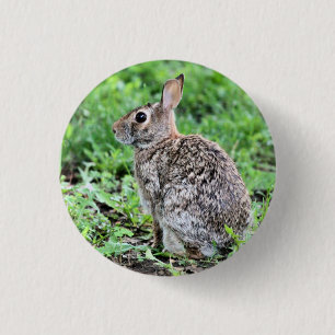 Bunny Button