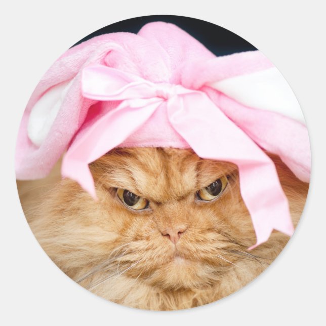 Bunny Cat Oster Classic Round Sticker (Vorderseite)