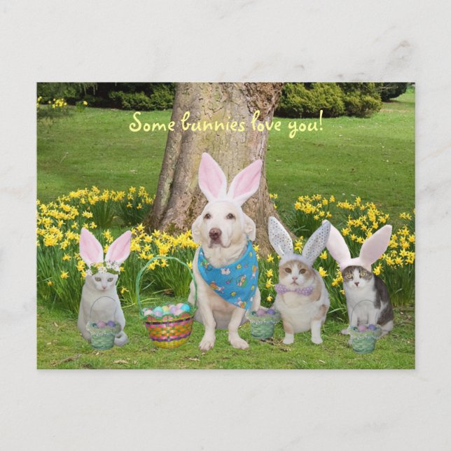 Bunny Dog mit Bunny Cats Feiertagspostkarte (Vorderseite)