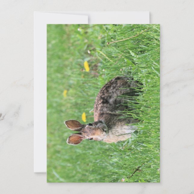 Bunny Einladung (Vorderseite)