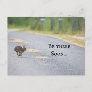 Bunny Foto Postcard Feiertagspostkarte