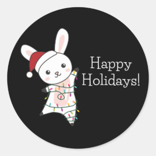 Bunny FroChristmas Winter Tiere Rabbits Klasse Runder Aufkleber