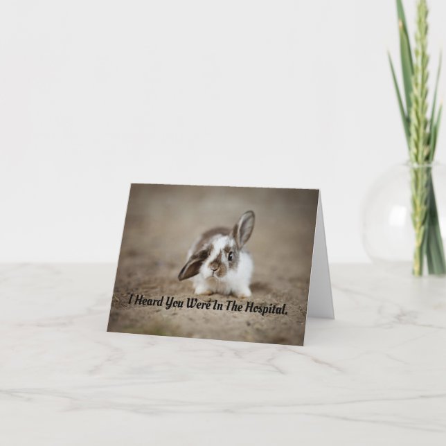 Bunny Get Well Greycard Karte (Vorderseite)